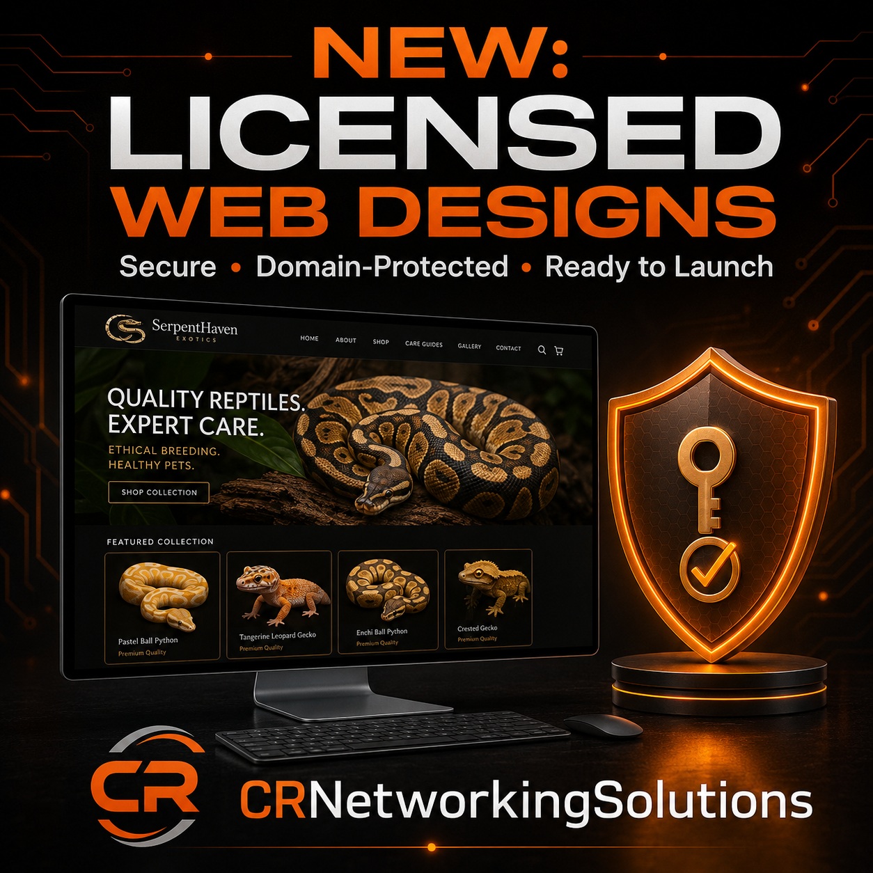 CRNetworkingSolutions is excited to introduce our new secure, licensed web design services!